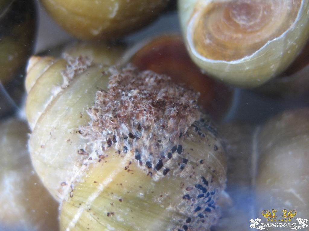 这个站终于能上了。。收获