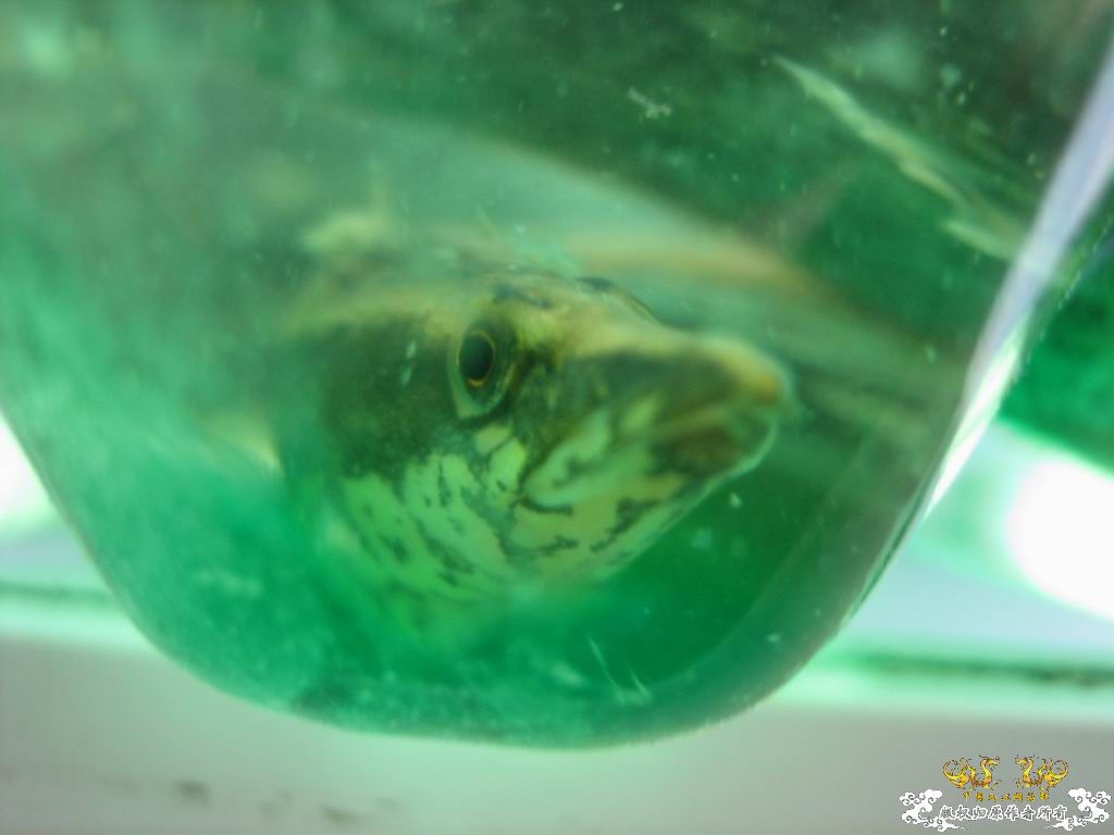 这个站终于能上了。。收获