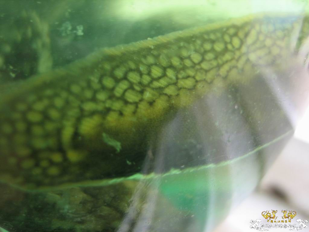 这个站终于能上了。。收获