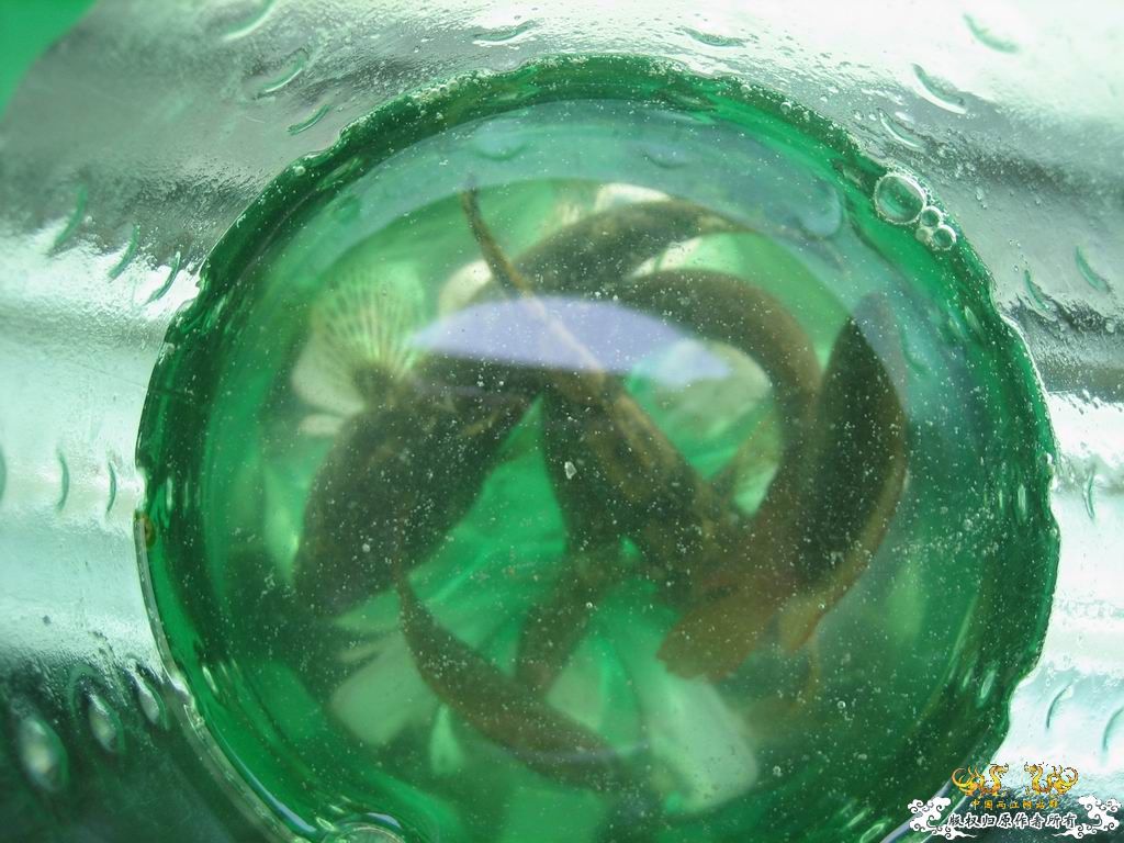 这个站终于能上了。。收获