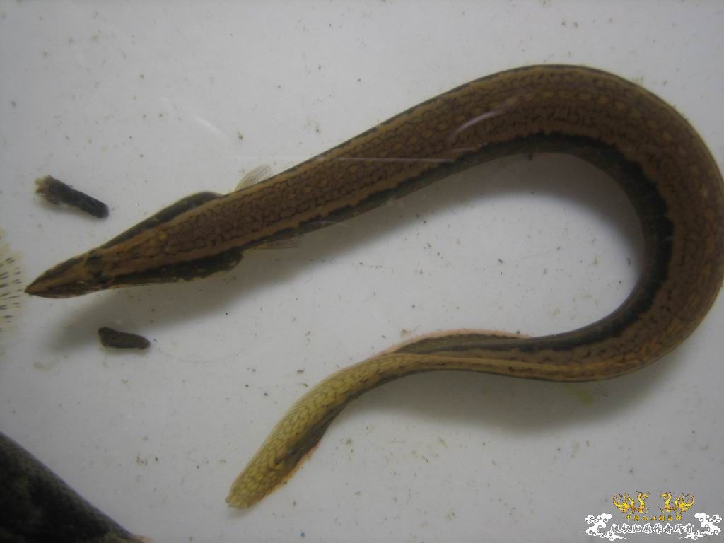 这个站终于能上了。。收获