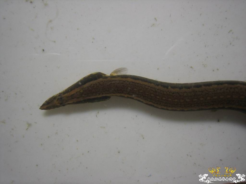 这个站终于能上了。。收获