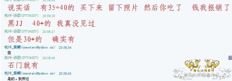 210*60*70的大原生缸终于落成！！！！