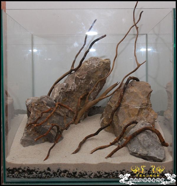 [转帖]一个漂亮的金丝鱼缸诞生剪影 [9P]