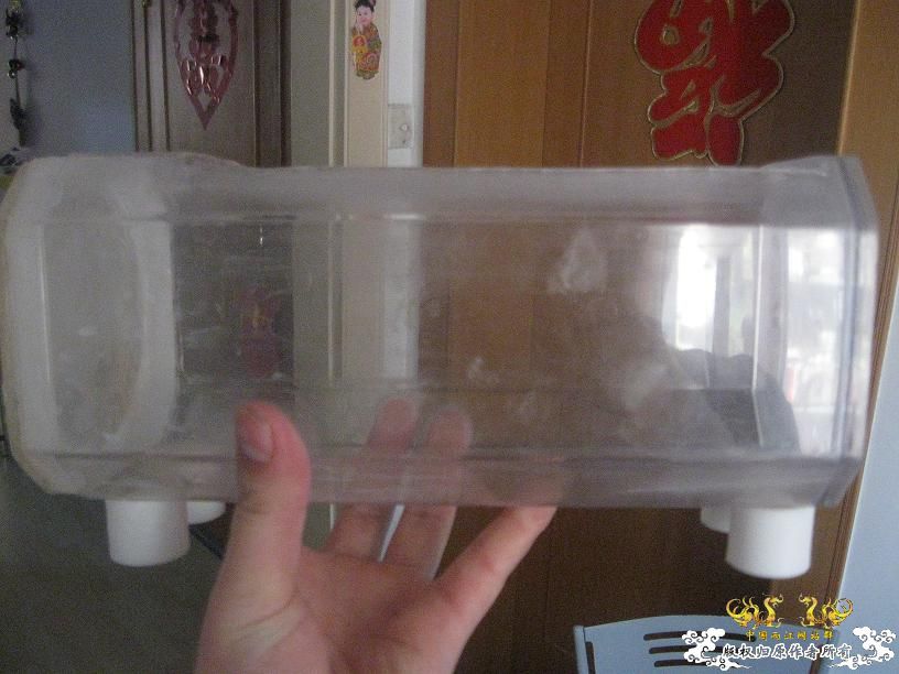 我的50小缸