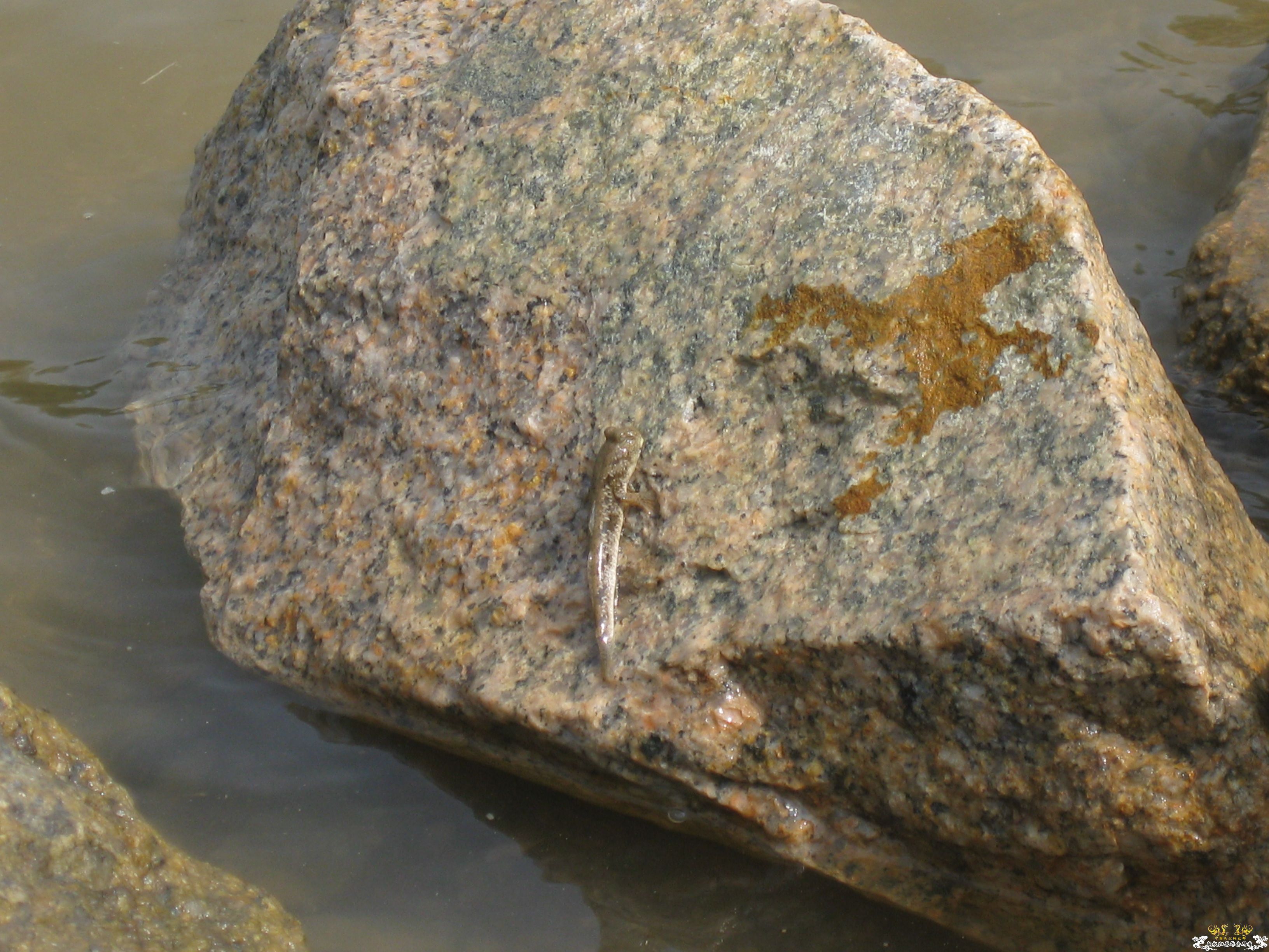 珠海