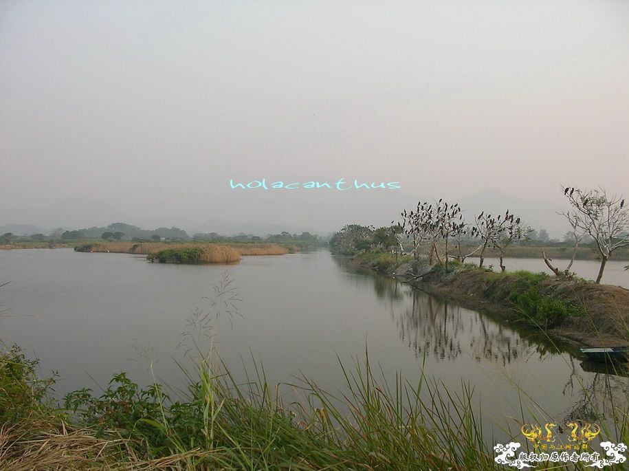 米埔數景