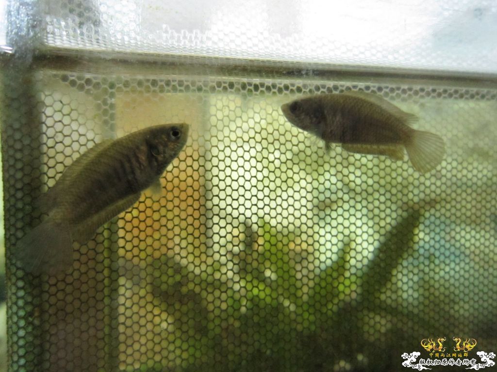 乱糟糟！