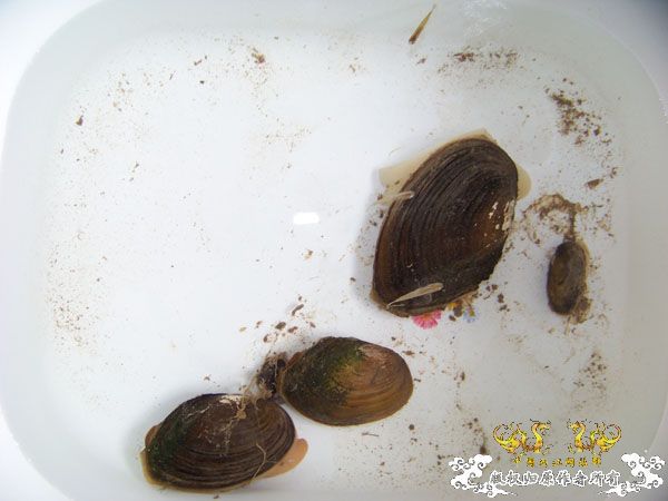 我寻寻觅觅...
