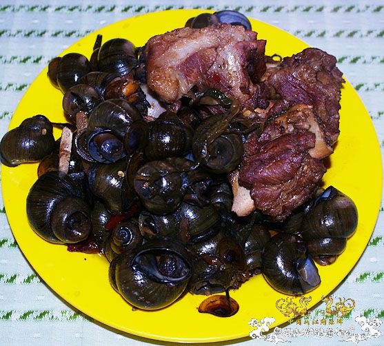 明天准备煮田螺~