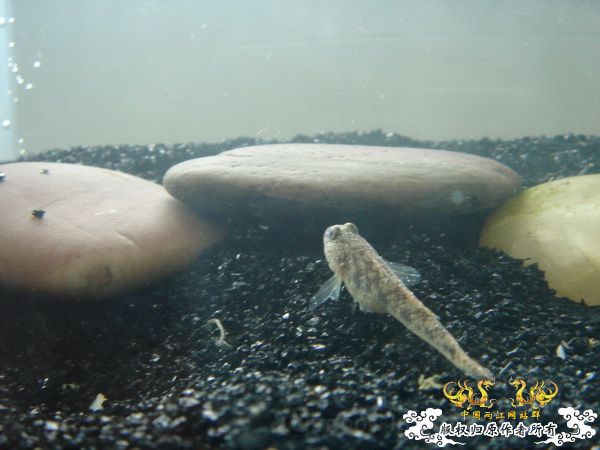 天气好,心情好,发点图