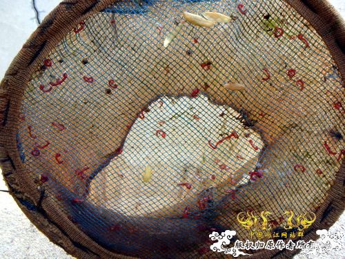 [原创]盛宴 第二季