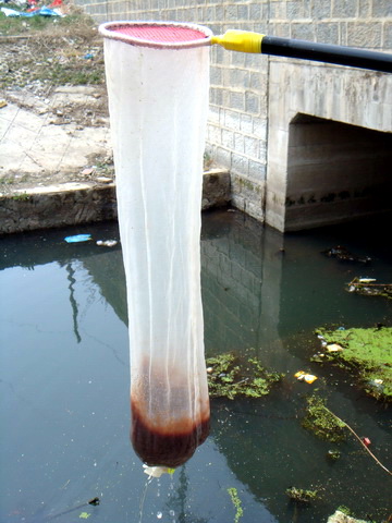 [原创]盛宴 第二季