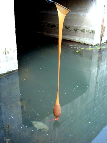 [原创]盛宴 第二季