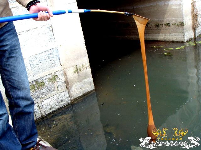 [原创]盛宴 第二季