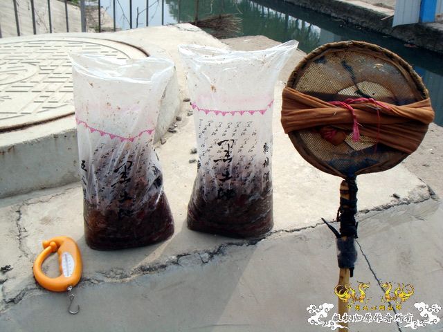 [原创]盛宴 第二季