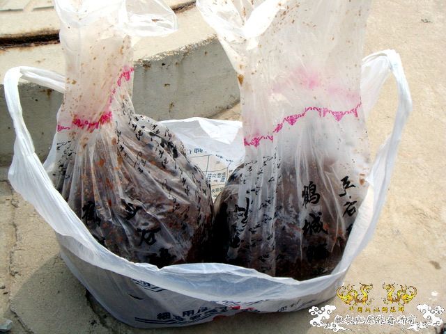 [原创]盛宴 第二季