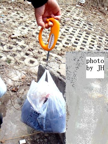 [原创]盛宴 第二季