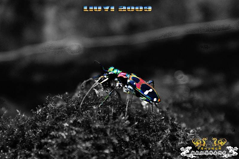 关键词：【色彩恶魔】