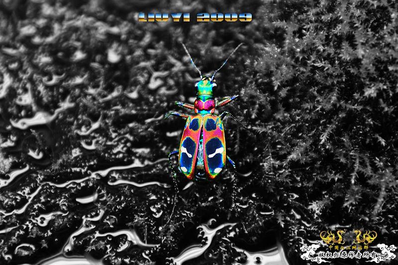 关键词：【色彩恶魔】