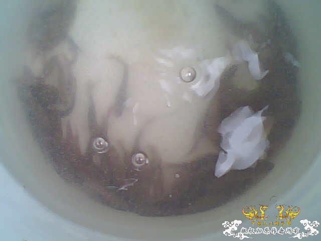 拍了些照片