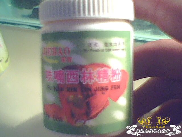 请大家帮帮我，救救我的鱼！