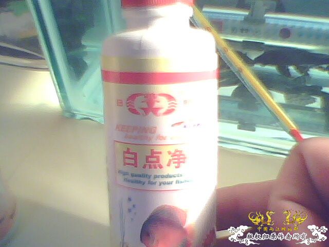 请大家帮帮我，救救我的鱼！