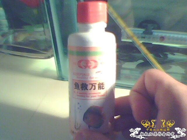 请大家帮帮我，救救我的鱼！