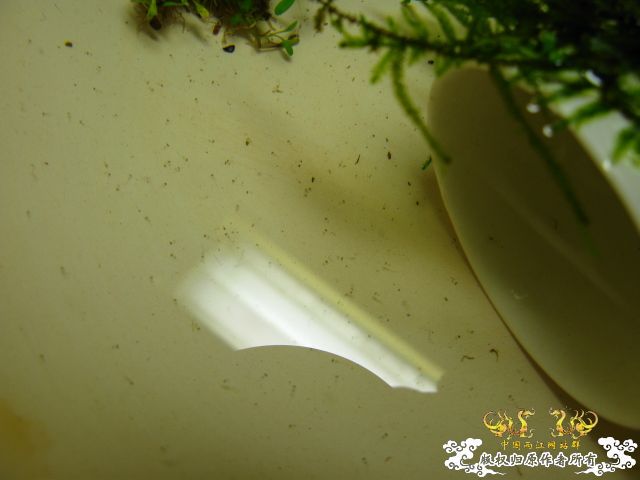 我的波氏今天7点45分起飞, 大家有什么建议??快进