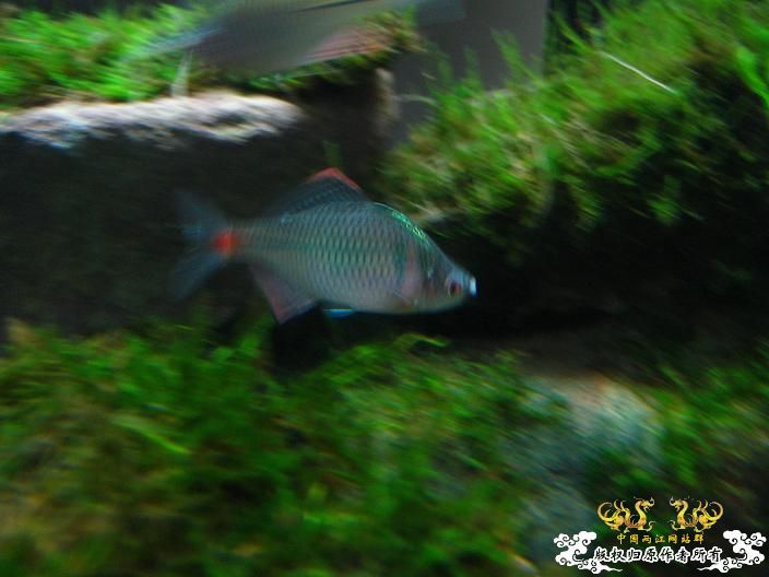 济济一堂