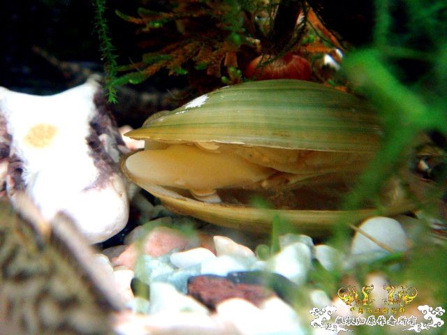 [原创]深切缅怀