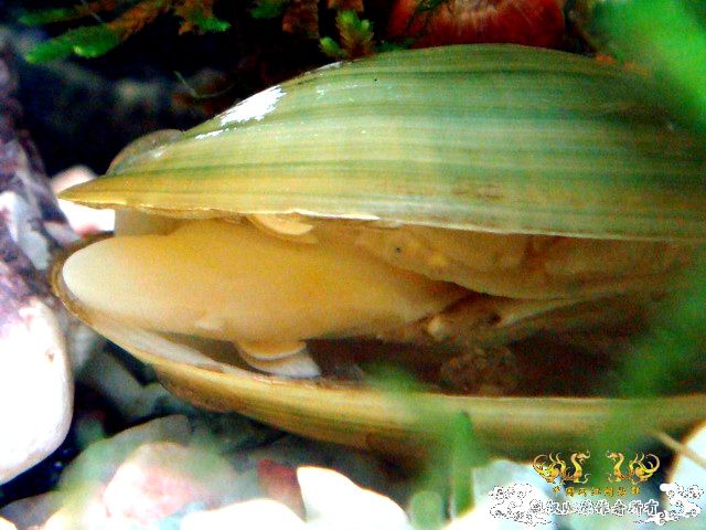 [原创]深切缅怀