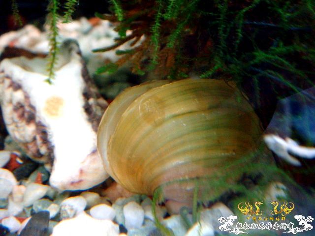 [原创]深切缅怀