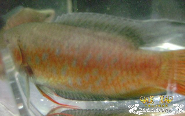 发些些许色，再拍些照....