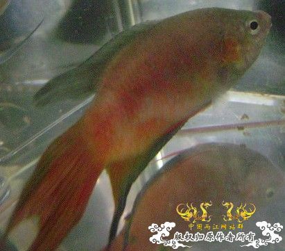 发些些许色，再拍些照....