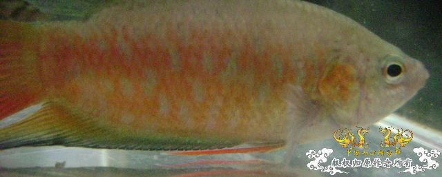 发些些许色，再拍些照....