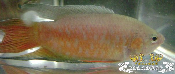 发些些许色，再拍些照....