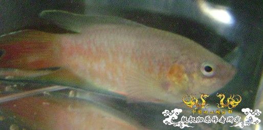 发些些许色，再拍些照....