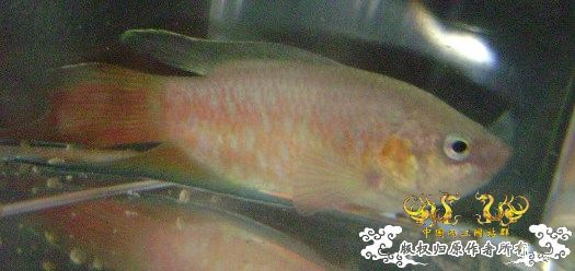 发些些许色，再拍些照....