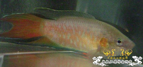 发些些许色，再拍些照....