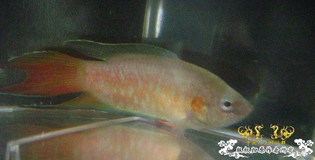 发些些许色，再拍些照....