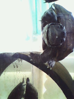 关键字:螃蟹 某鳅 到处塞满了螃蟹