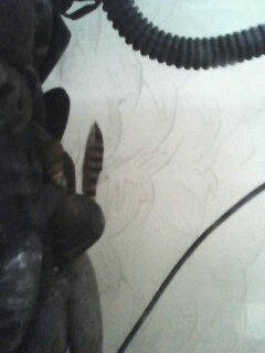 关键字:螃蟹 某鳅 到处塞满了螃蟹 饿龟