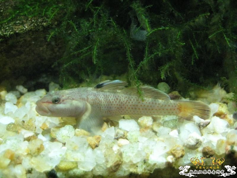 [原创]一人一张~