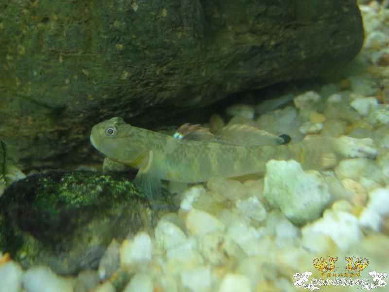 [原创]一人一张~