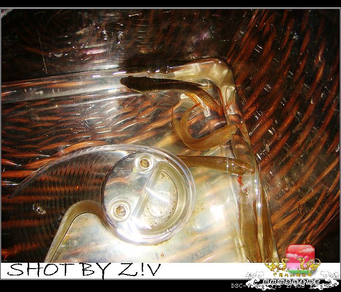 [原创]普、蓝、黑、圆~~~越……？？