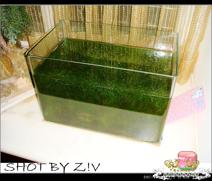 [原创]普、蓝、黑、圆~~~越……？？