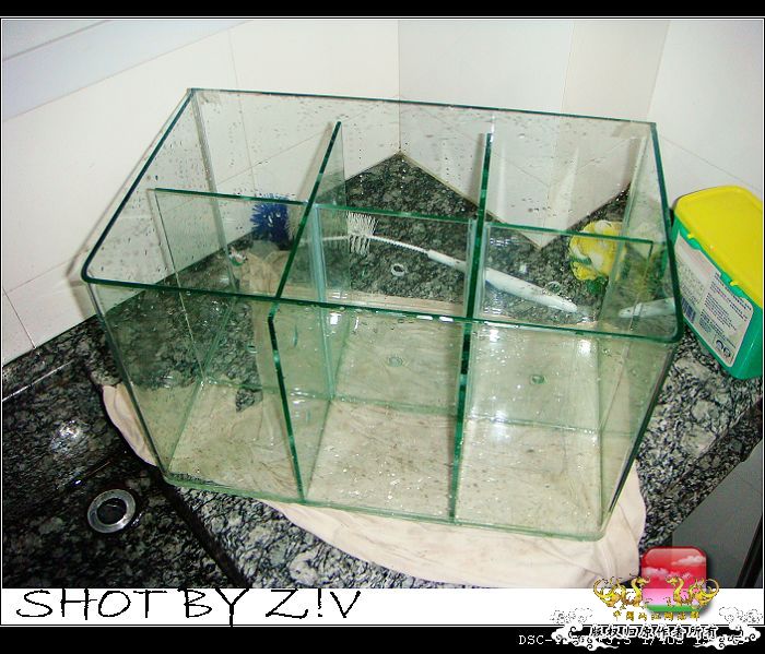 [原创]普、蓝、黑、圆~~~越……？？