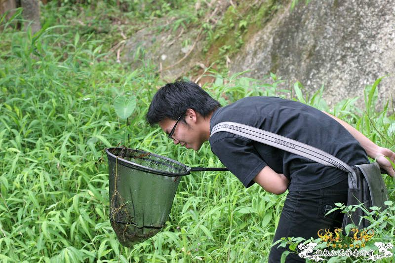 五一广州从化j野采之旅(重大发现)