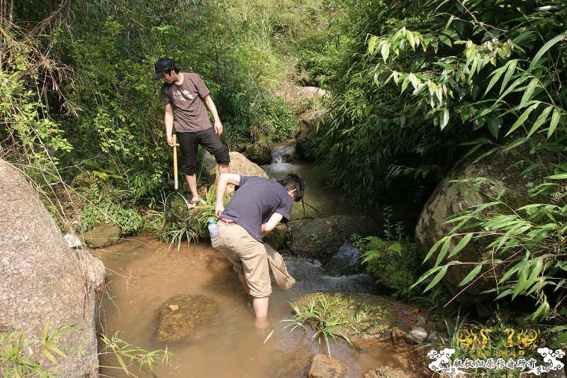 五一广州从化j野采之旅(重大发现)